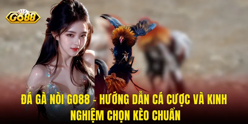 Đá Gà Nòi Go88 – Hướng Dẫn Cá Cược Và Kinh Nghiệm Chọn Kèo Chuẩn