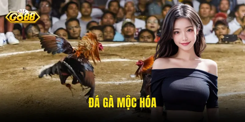 Đá Gà Mộc Hóa