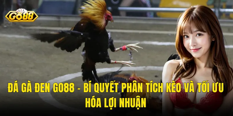 Đá Gà Đen Go88 – Bí Quyết Phân Tích Kèo Và Tối Ưu Hóa Lợi Nhuận