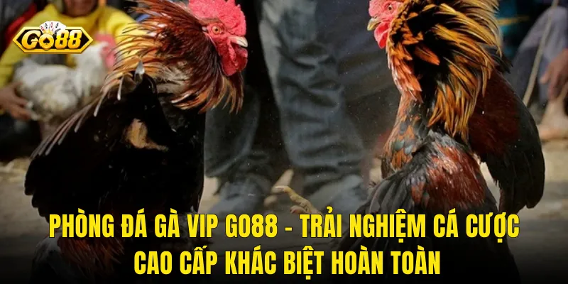 Đá Gà VIP Go88 – Đấu Trường Thượng Lưu Dành Cho Những Tay Cược Đẳng Cấp 2 Phòng Đá Gà VIP Go88 – Trải Nghiệm Cá Cược Cao Cấp Khác Biệt Hoàn Toàn