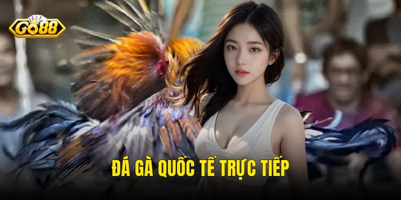 Đá Gà Quốc Tế Trực Tiếp