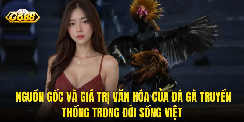 Nguồn Gốc Và Giá Trị Văn Hóa Của Đá Gà Truyền Thống Trong Đời Sống Việt