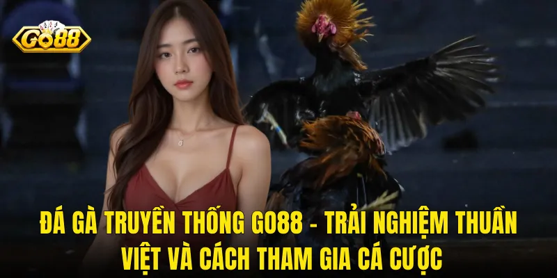 Đá Gà Truyền Thống Go88 – Trải Nghiệm Thuần Việt Và Cách Tham Gia Cá Cược