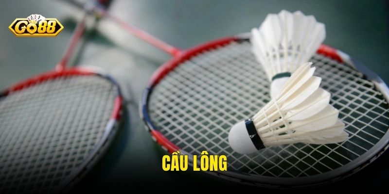 Cầu Lông