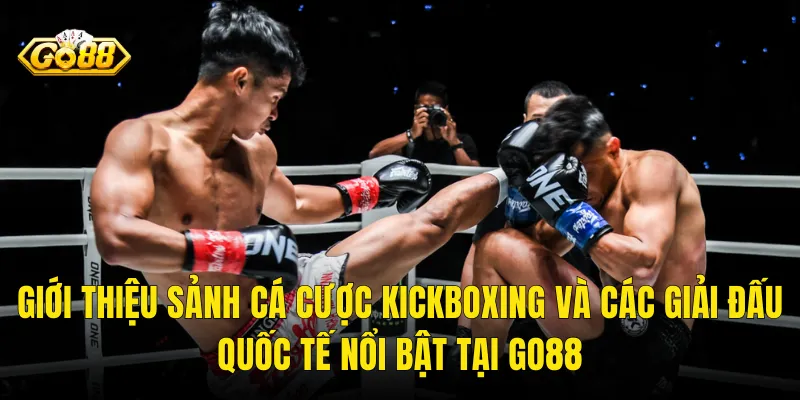 Giới Thiệu Sảnh Cá Cược Kickboxing Và Các Giải Đấu Quốc Tế Nổi Bật Tại Go88