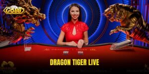 Dragon Tiger Live