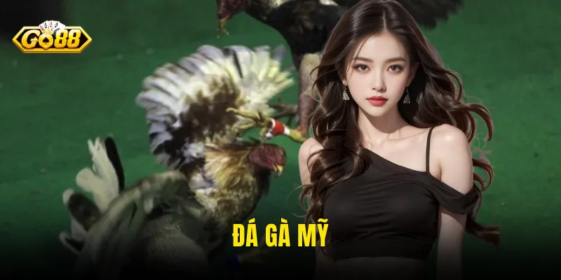 Đá Gà Mỹ