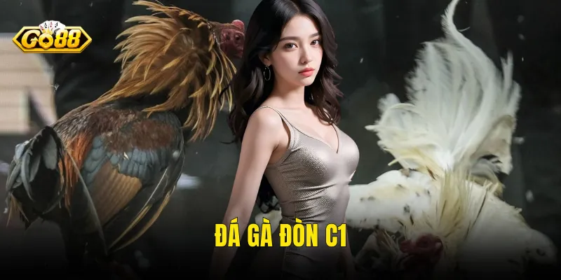Đá Gà Đòn C1