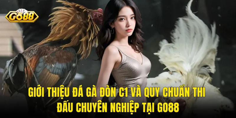Giới Thiệu Đá Gà Đòn C1 Và Quy Chuẩn Thi Đấu Chuyên Nghiệp Tại Go88