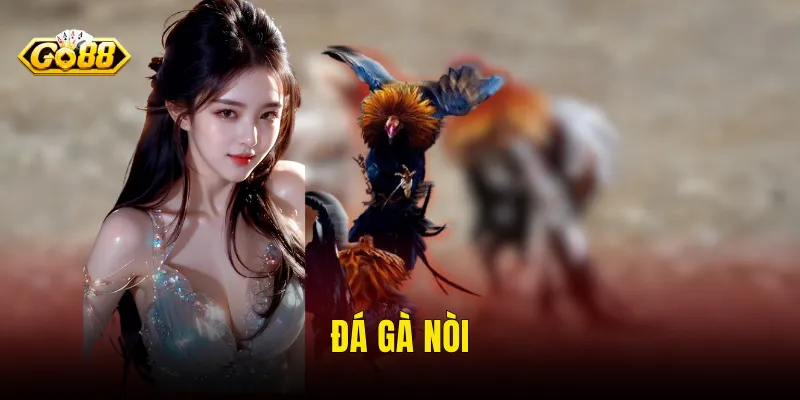 Đá Gà Nòi